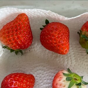 いちご 長持ち野菜室保存 3日or10日 レシピ 作り方 By Sweet Sweet 楽天レシピ いちご 長持ち野菜室保存 3日or10日 レシピ 作り方 By Sweet Sweet 楽天レシピ